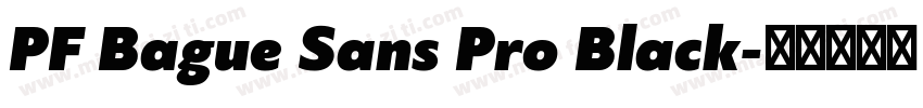 PF Bague Sans Pro Black字体转换